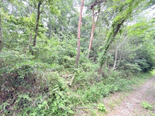 image01